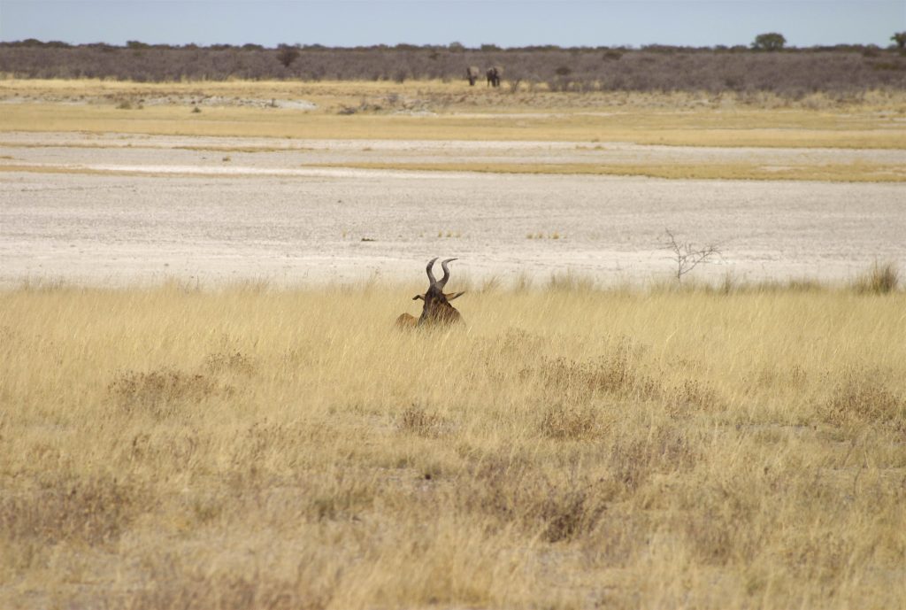 Horn, Namibia
