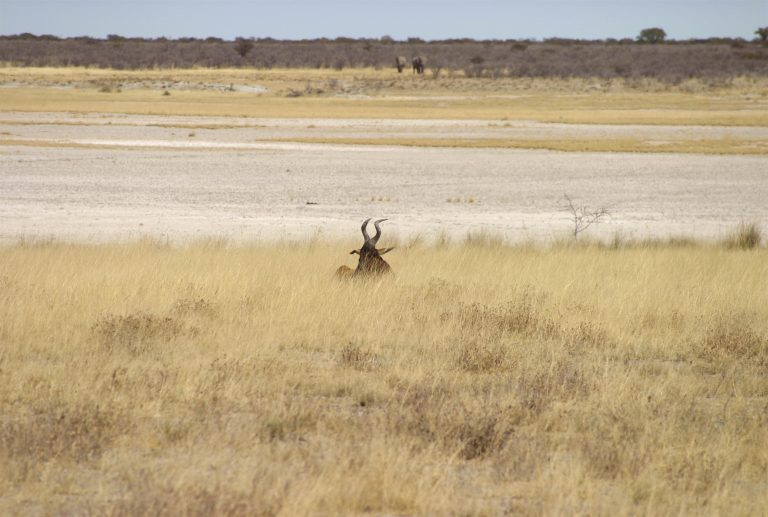 Horn, Namibia
