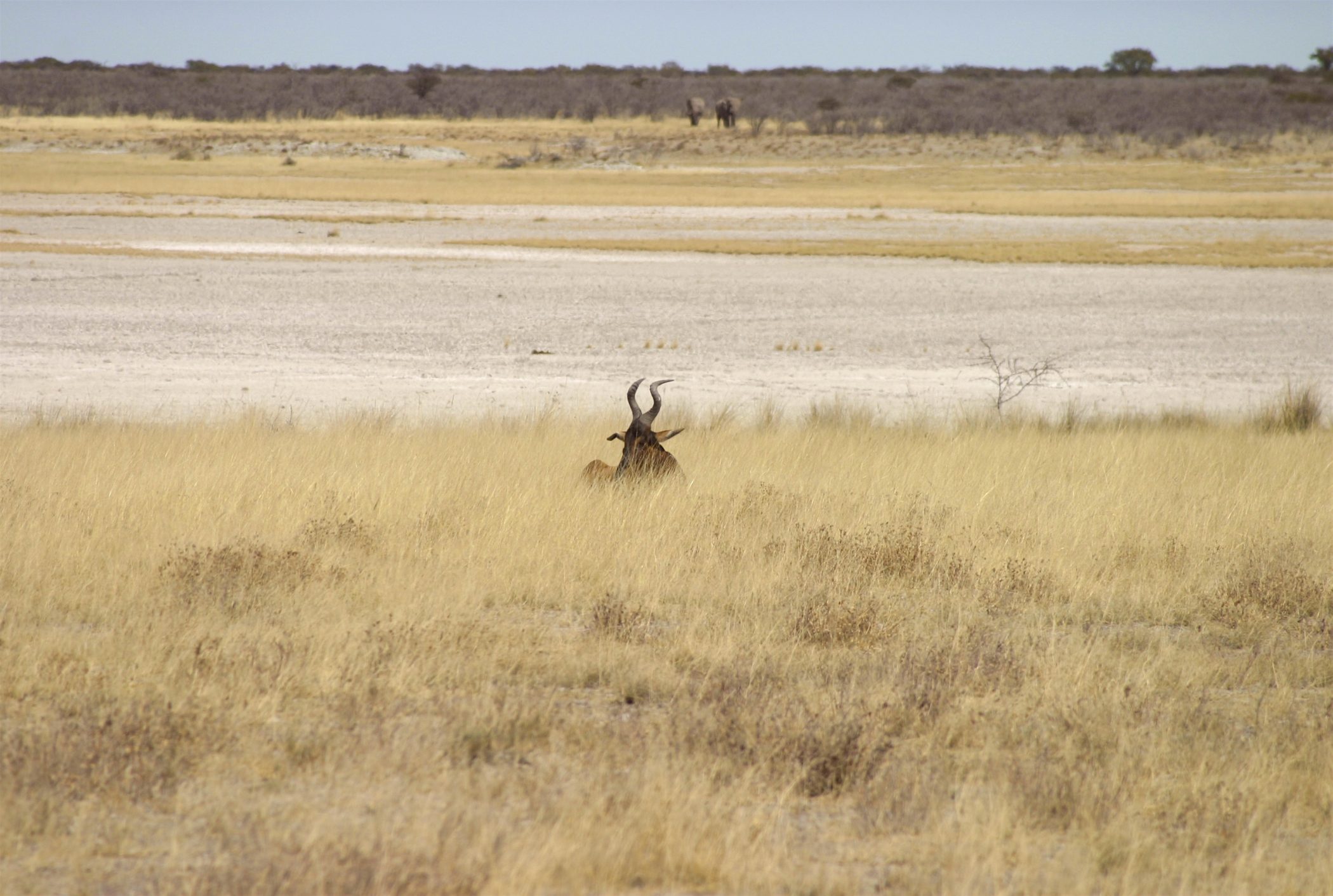 <span>Horn</span>, Namibia