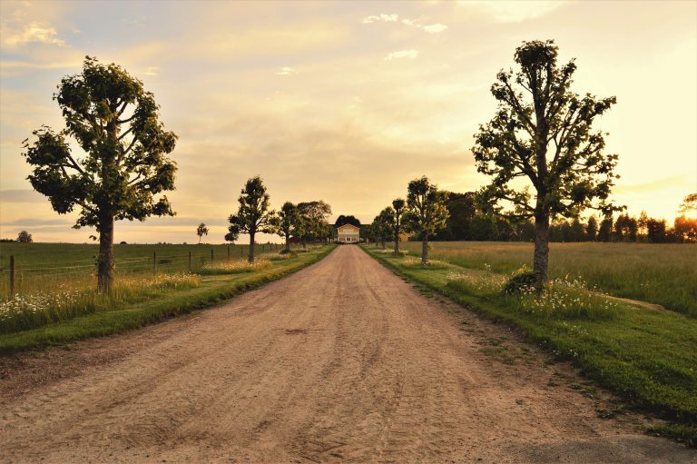 Roadmovie fra Barbados