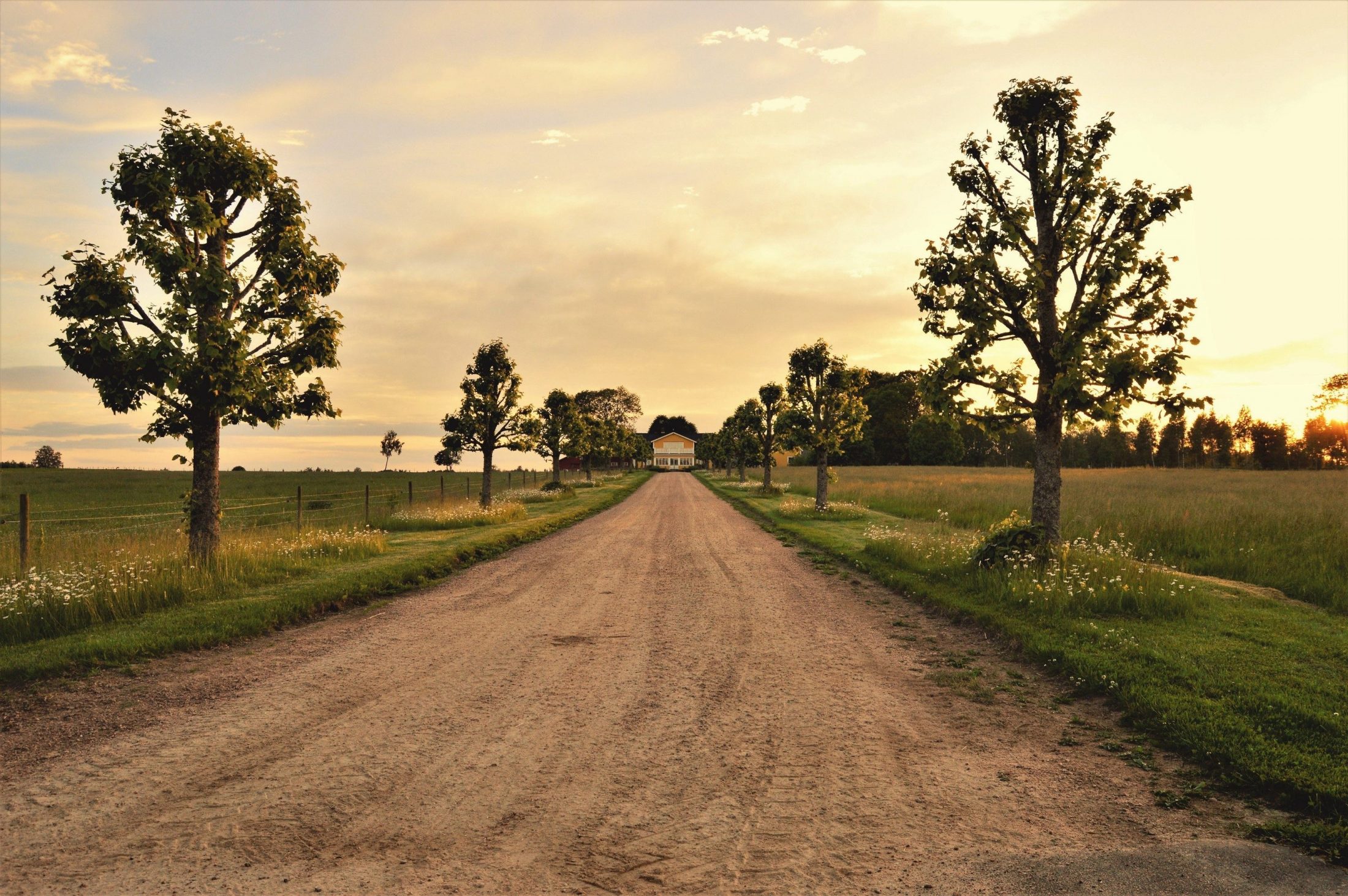 Roadmovie fra Barbados